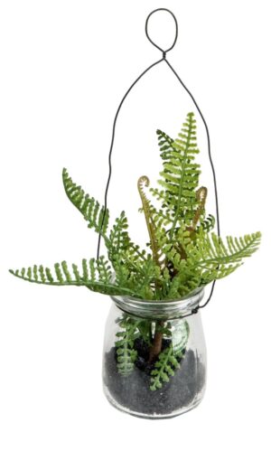 formano Zierfarn im Gläschen zum hängen, 17 cm
