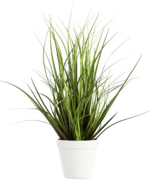 Dekogras im Topf, 45 cm
