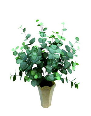Eucalyptusbusch 50cm, Kunstpflanze
