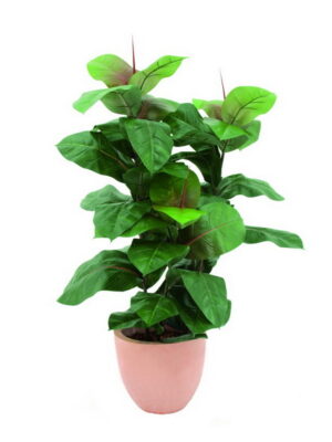 Gummibaum 100cm, Kunstpflanze